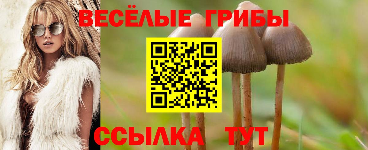 Галлюциногенные грибы Magic Shrooms  Вход с VPN  Скопин 