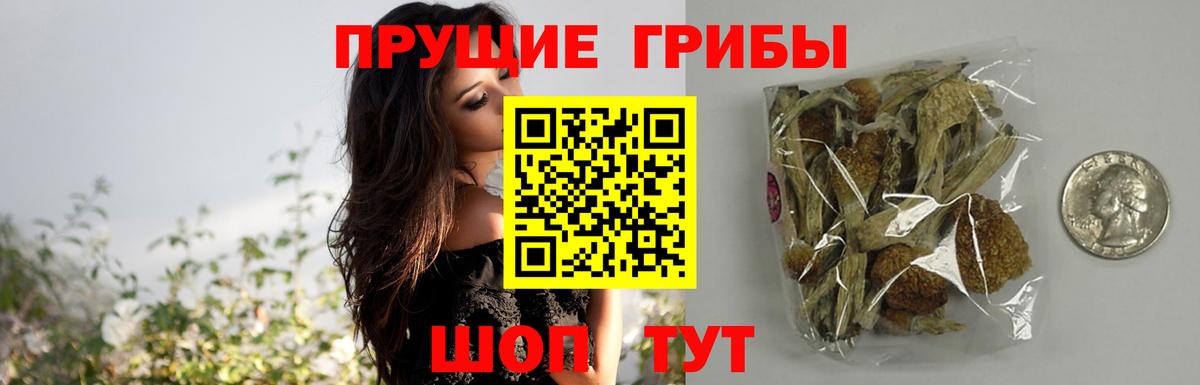 Псилоцибиновые грибы мицелий Скопин
